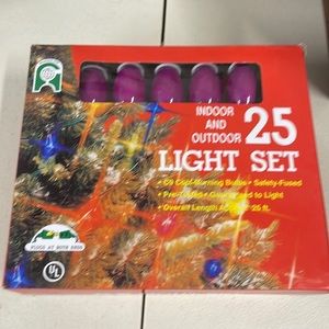 New Christmas holiday lights purple